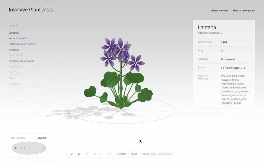 Screen recording of the Invasive Plant Atlas: a rotating 3D lantana with its species details, a species list and a map of the lake
