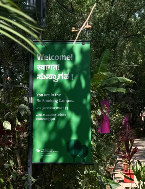 Green outdoor directional sign among plants